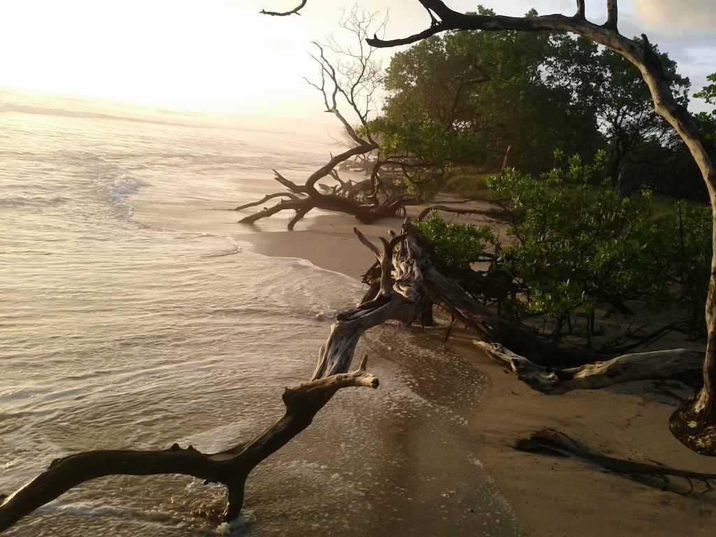 Cabinas Las Olas Bãi biển Bãi biển Playa Avellana Ngoại thất bức ảnh