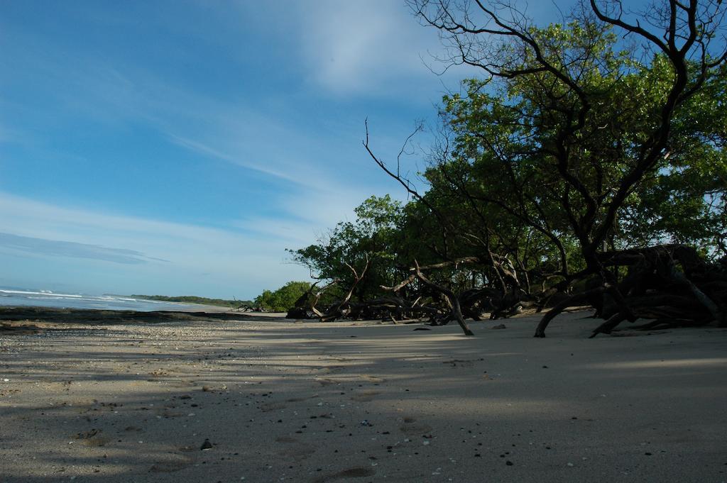 Cabinas Las Olas Bãi biển Bãi biển Playa Avellana Ngoại thất bức ảnh