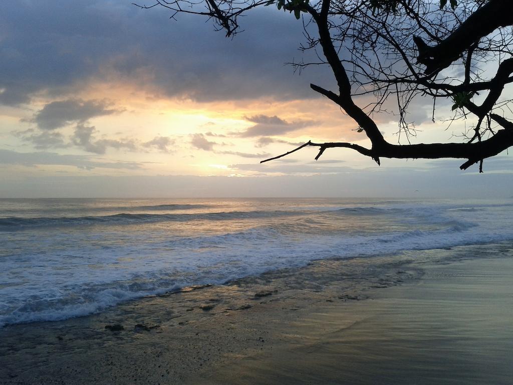 Cabinas Las Olas Bãi biển Bãi biển Playa Avellana Ngoại thất bức ảnh