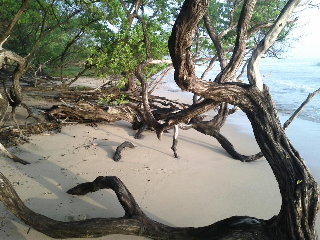 Cabinas Las Olas Bãi biển Bãi biển Playa Avellana Ngoại thất bức ảnh