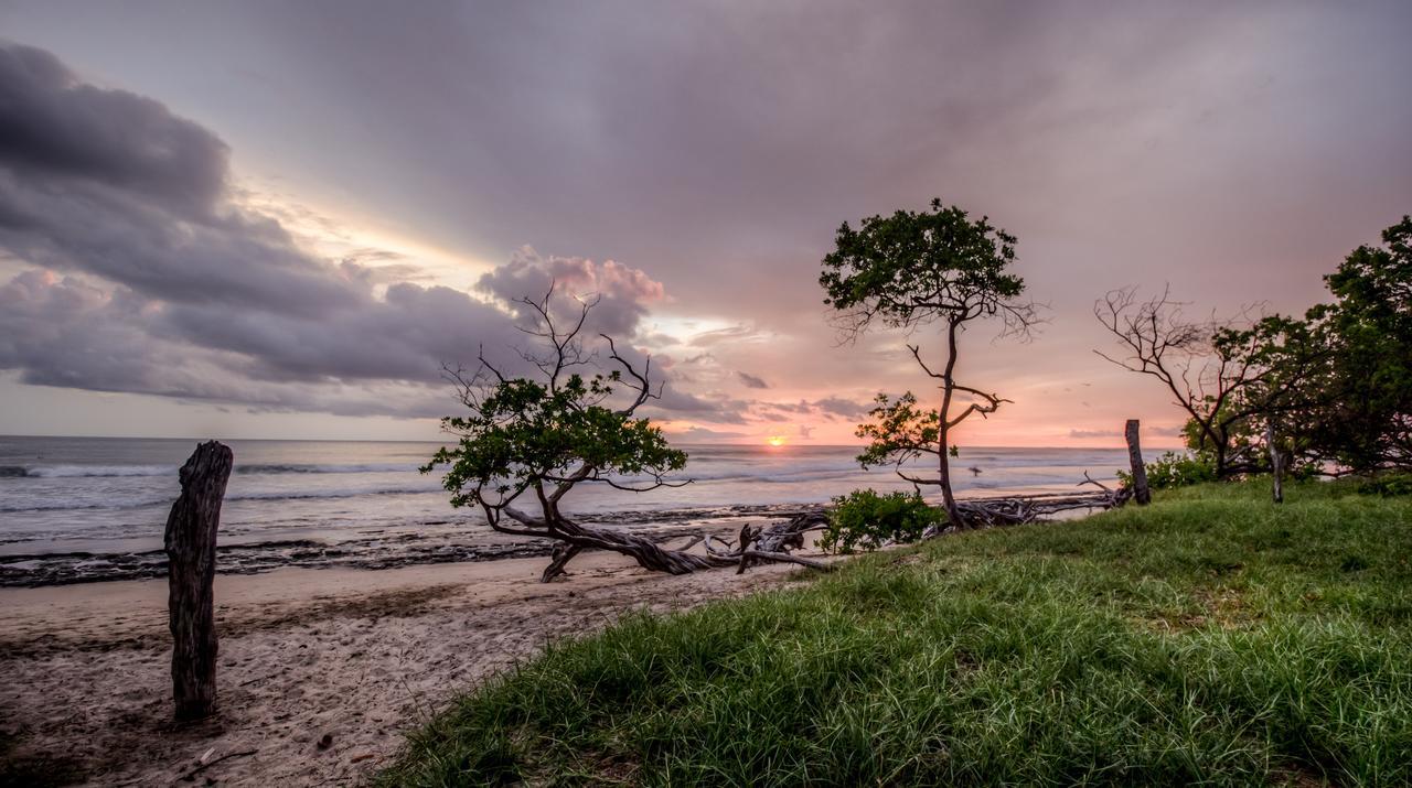 Cabinas Las Olas Bãi biển Bãi biển Playa Avellana Ngoại thất bức ảnh