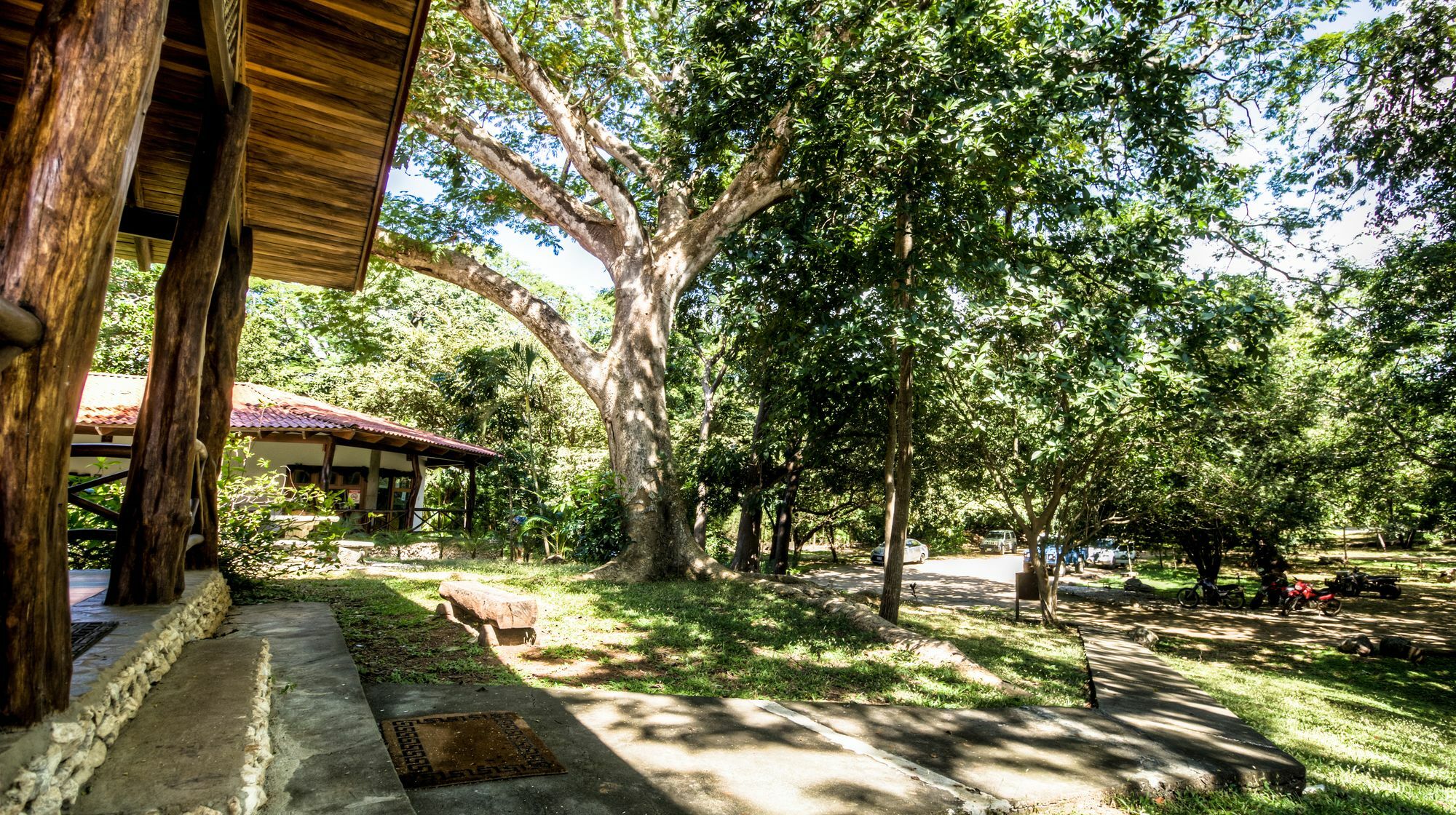 Cabinas Las Olas Bãi biển Bãi biển Playa Avellana Ngoại thất bức ảnh