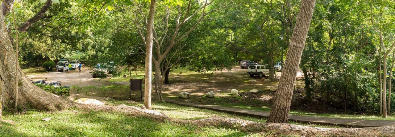 Cabinas Las Olas Bãi biển Bãi biển Playa Avellana Ngoại thất bức ảnh